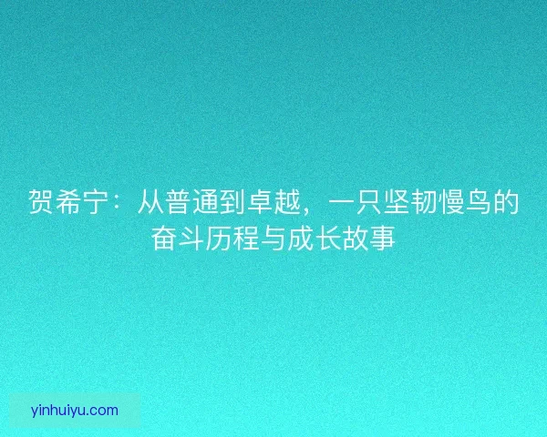 贺希宁：从普通到卓越，一只坚韧慢鸟的奋斗历程与成长故事